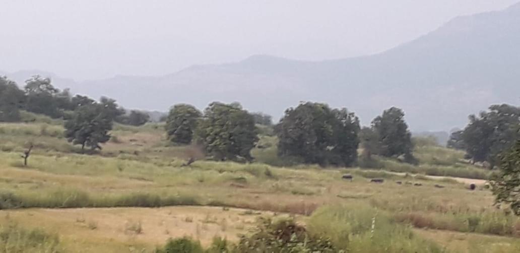 Karjat Mountain Villa 외부 사진